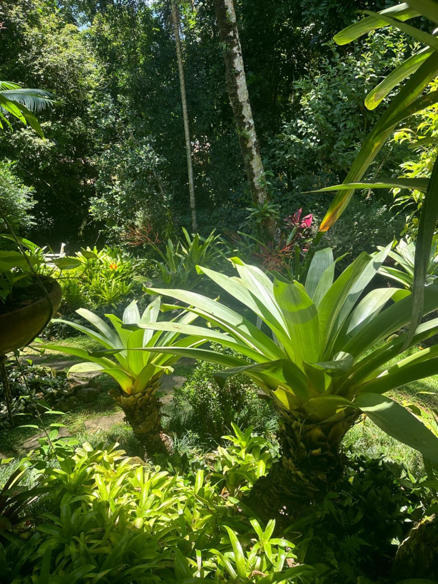 Pousada Cachoeira Vila do Abraao Ngoại thất bức ảnh